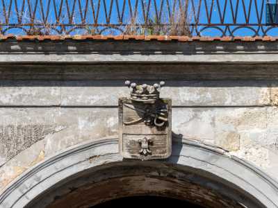 ...sul quale capeggia uno stemma raffigurante uno spadino, un ramoscello in fiore e un giglio